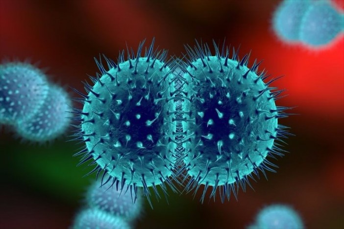 Causes et facteurs de rique de la gonorrhée